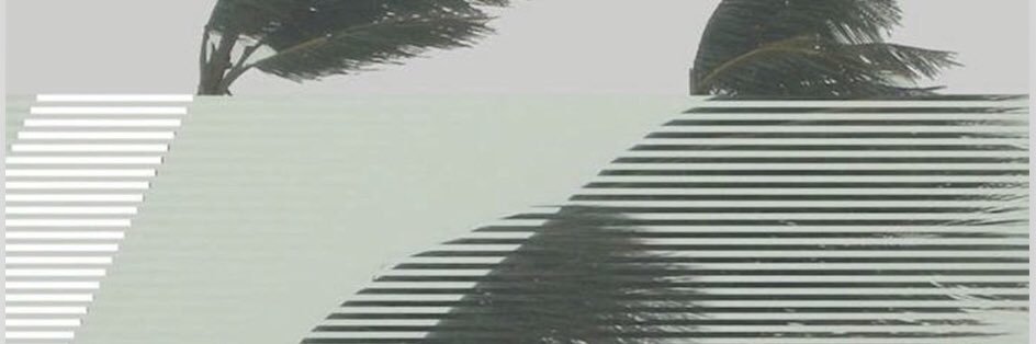 newkirk_6's profile banner image