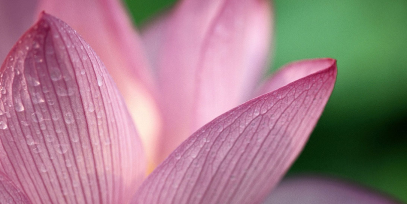 Christinemedia's profile banner image