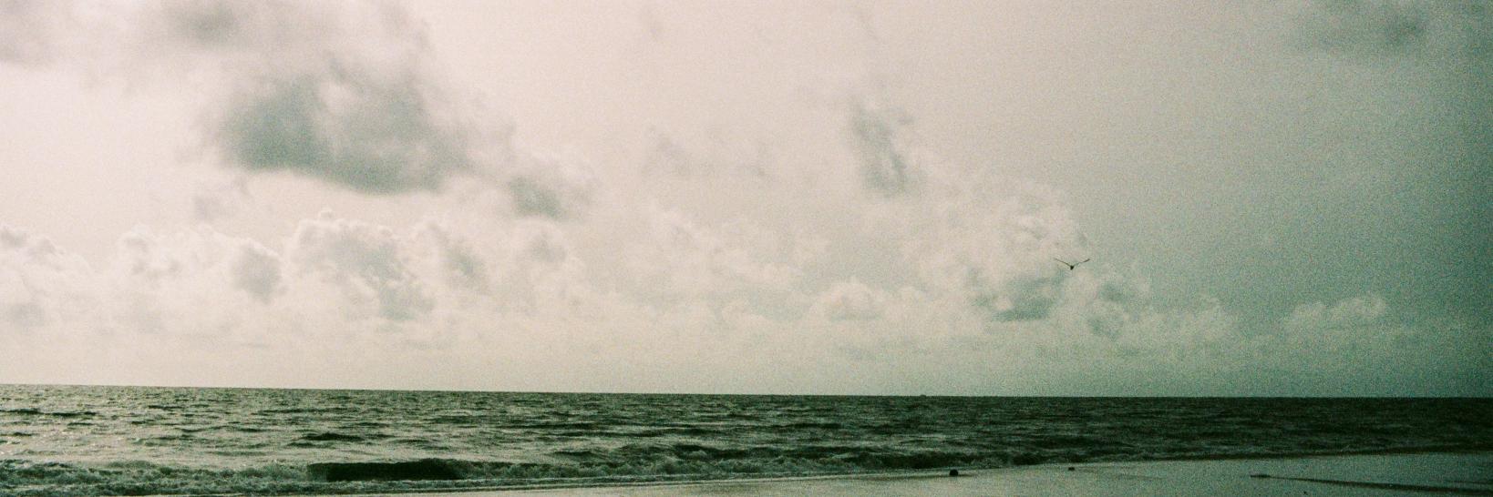 ligulaband's profile banner image