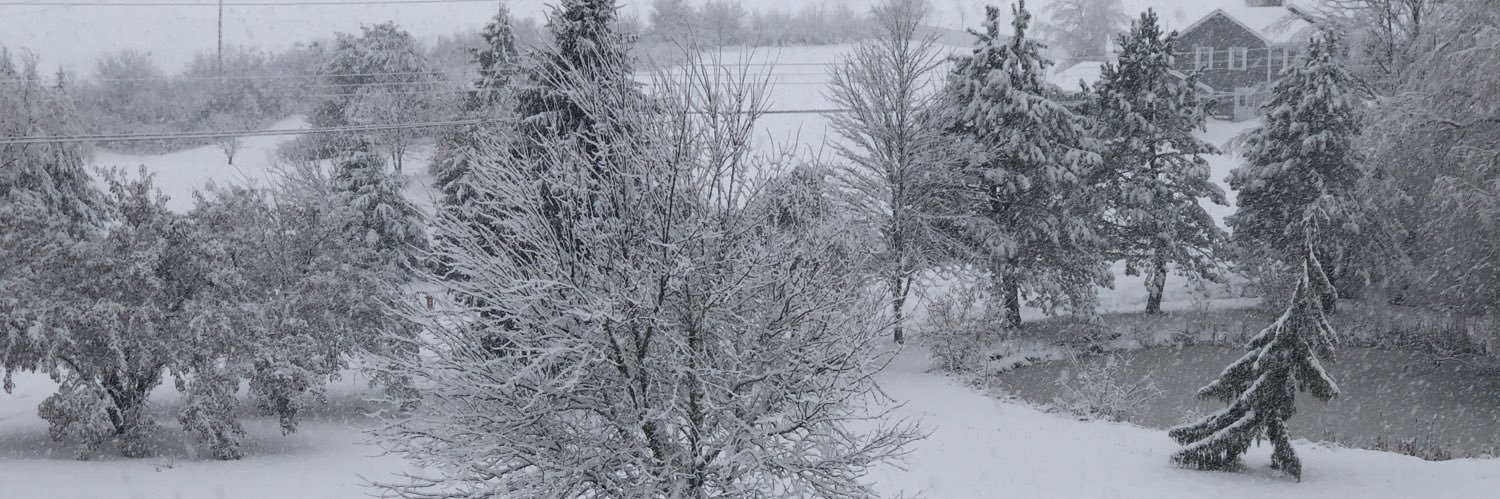 camoyer's profile banner image