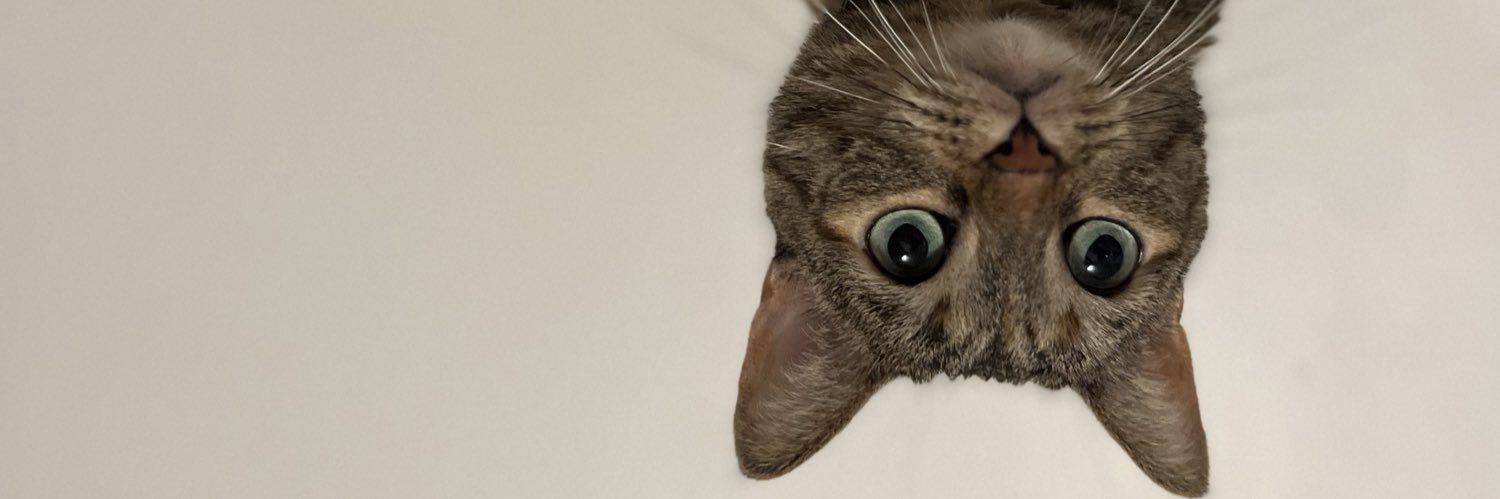 MathouAvs's profile banner image