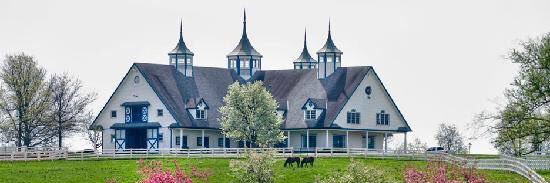 Jeremy Millay banner