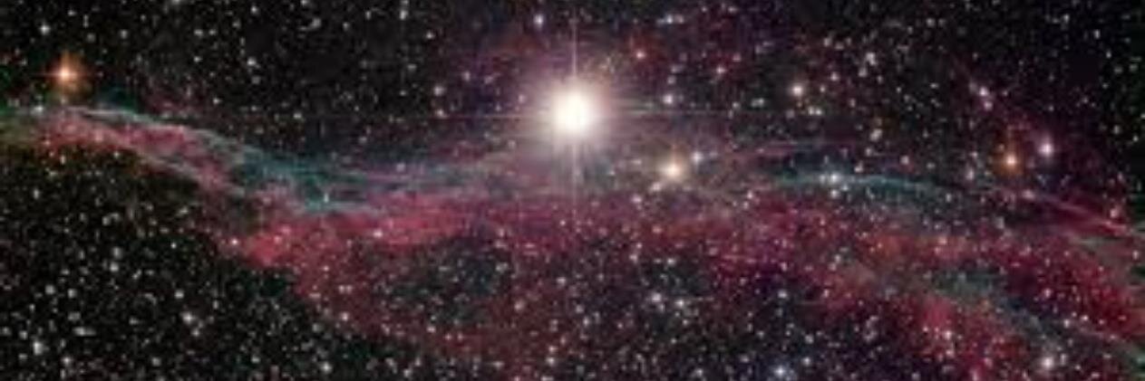 Cybele Fiorotti banner