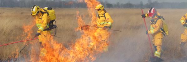 AdriaanterHuurn Profile Banner