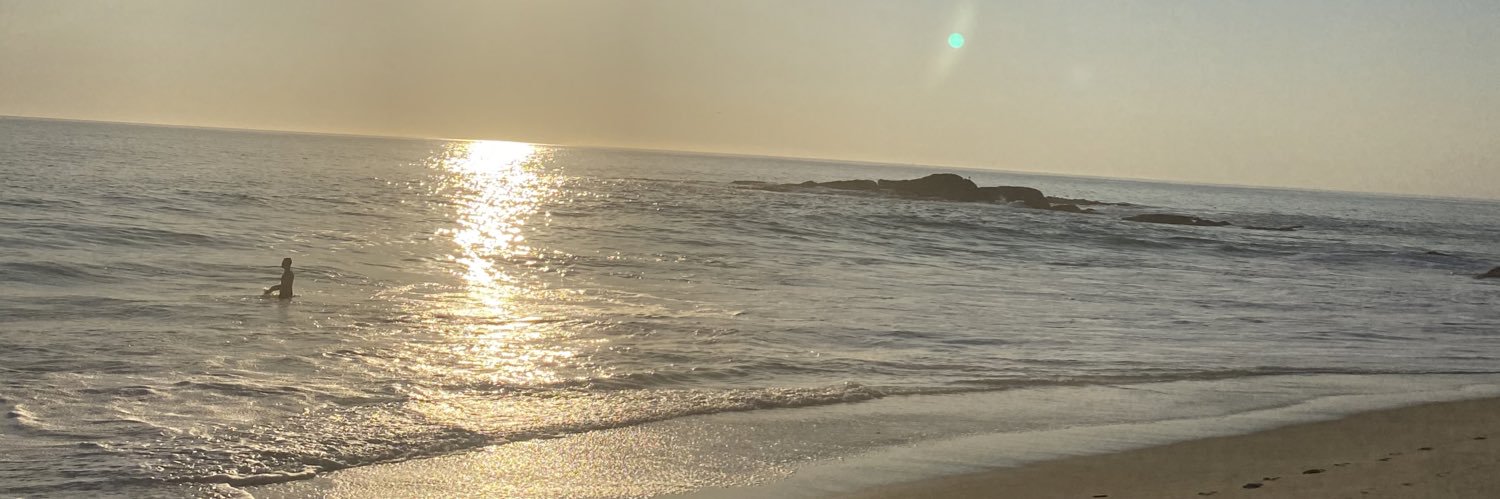 lili_menacho's profile banner image
