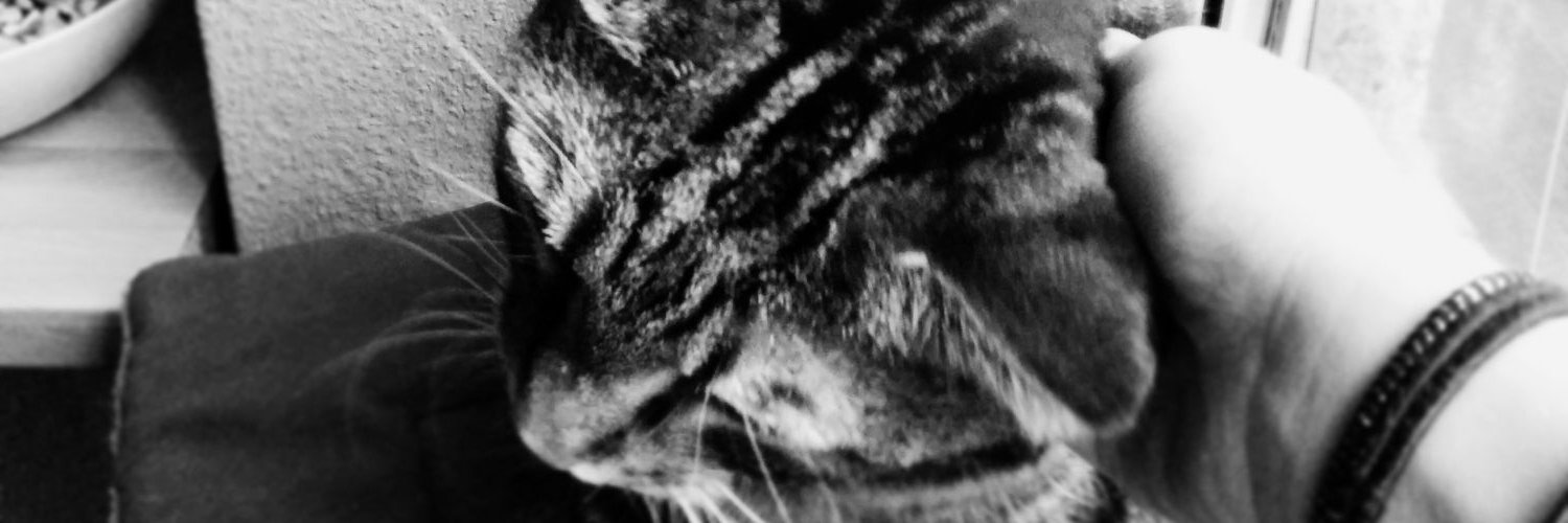 Lisalg12345's profile banner image