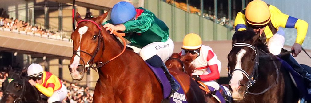 HorseRacingInJapan (@HorseRacing_JPN) / Posts / X