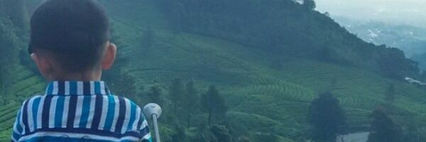 NY_Novitrii Profile Banner