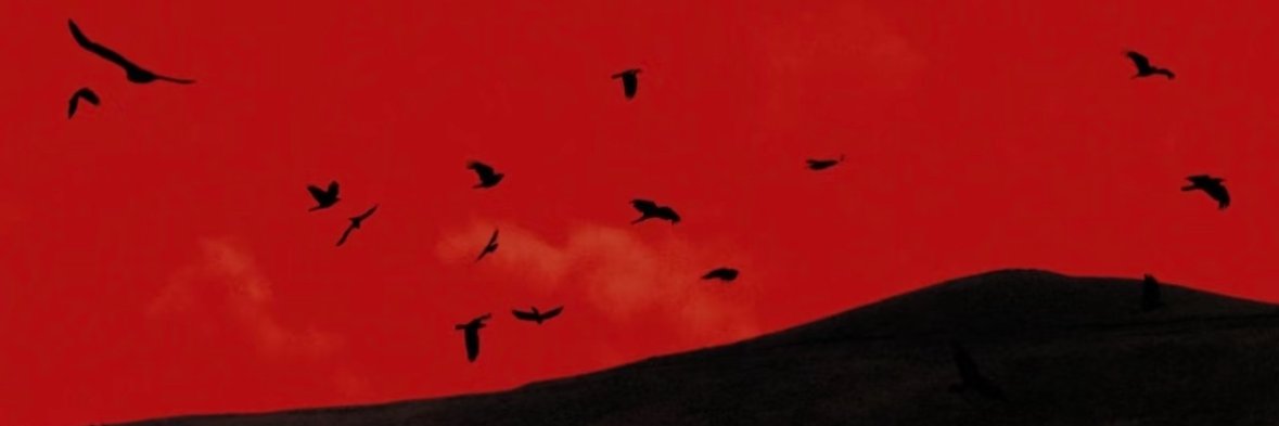 Fexicl's profile banner image