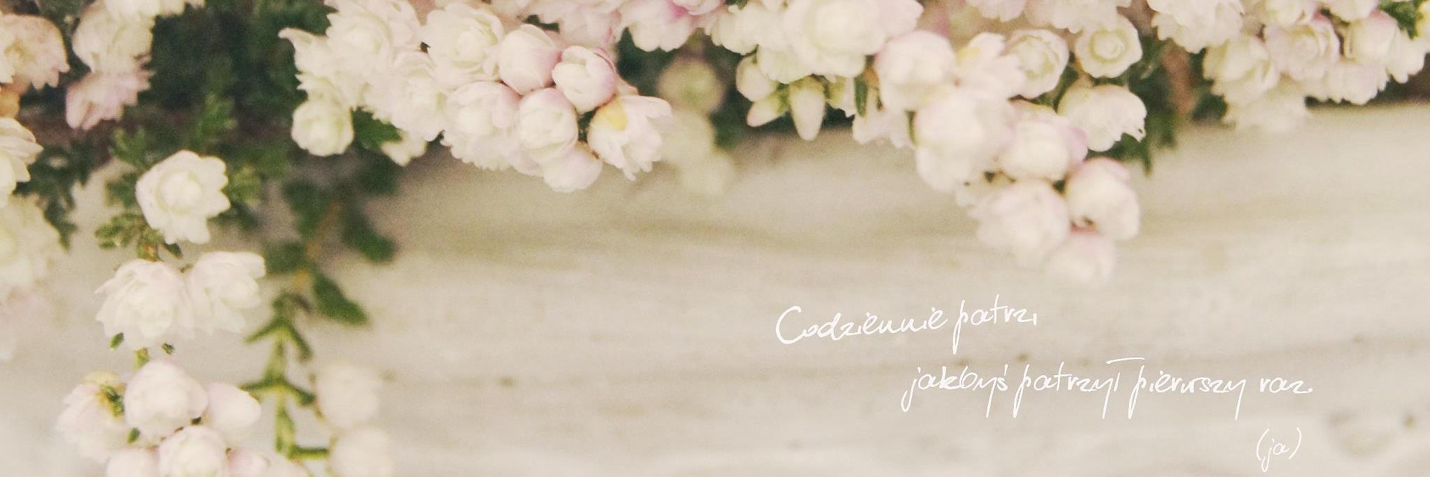 em_kania's profile banner image