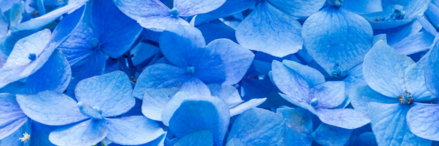 _pacificic's profile banner image