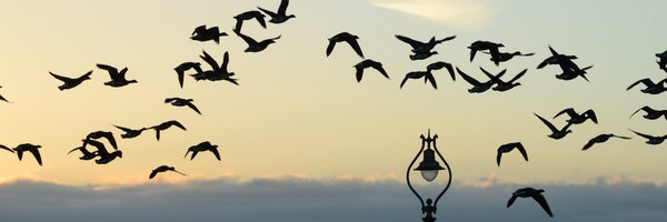 ITabroad Profile Banner