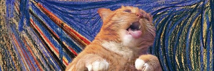 BarbiSJuarez's profile banner image