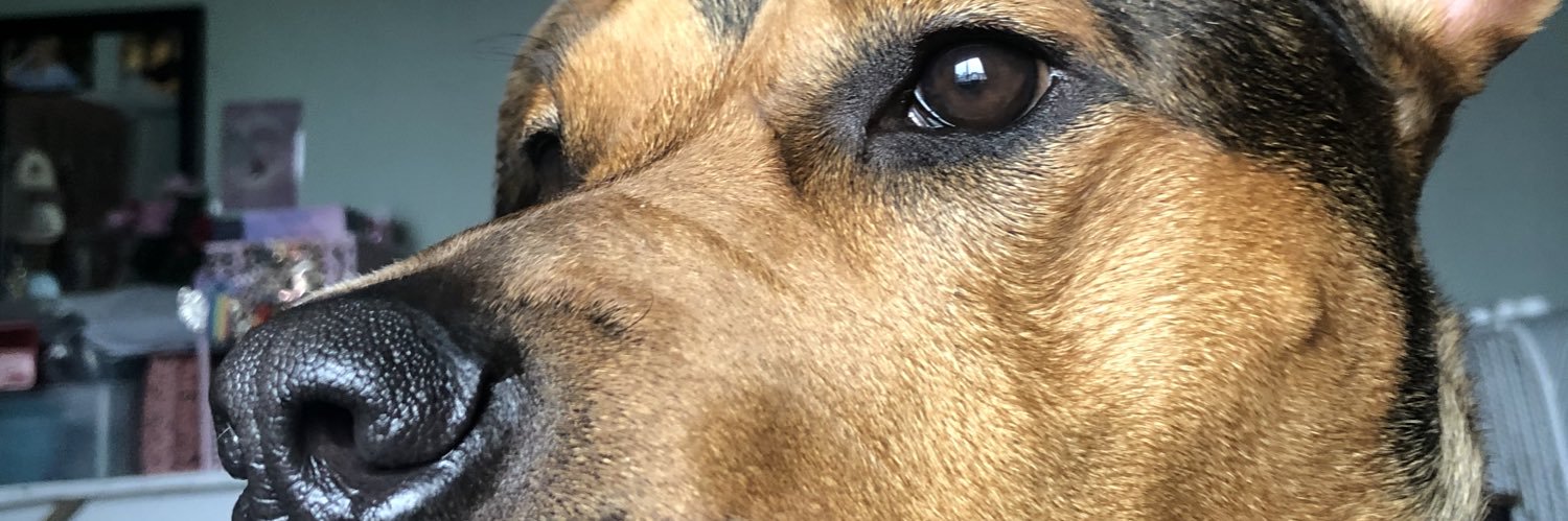 taylorisweirdd's profile banner image