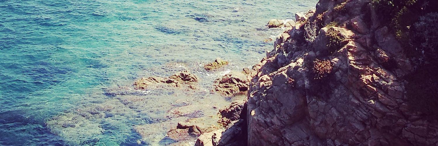 15_Caarol's profile banner image