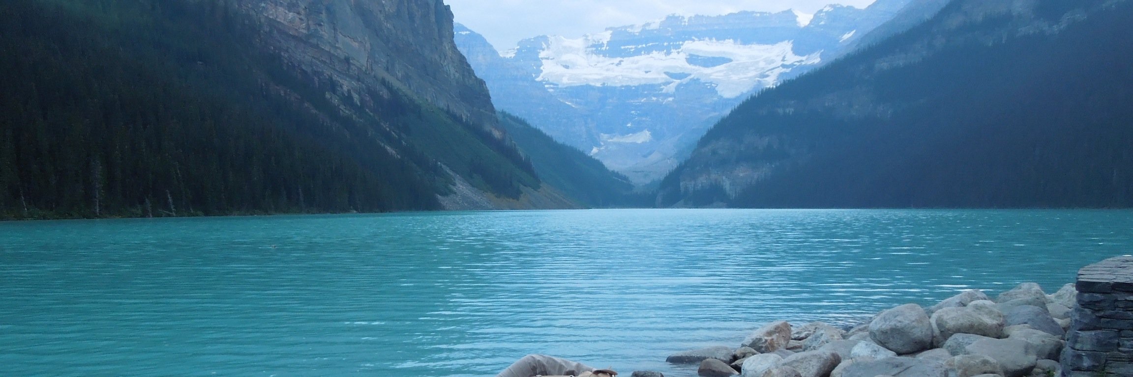 bzdwatson's profile banner image