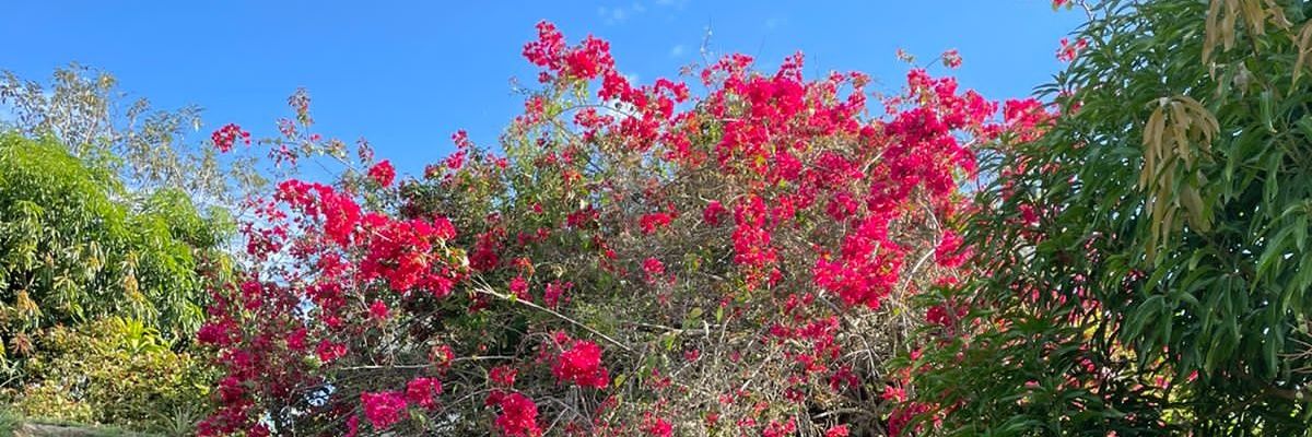 zorusa76's profile banner image