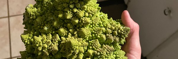 quakerparents Profile Banner