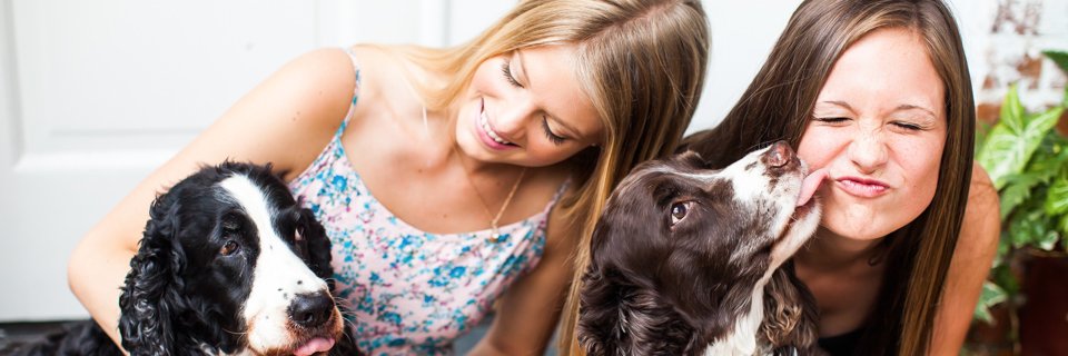lucymacphoto's profile banner image