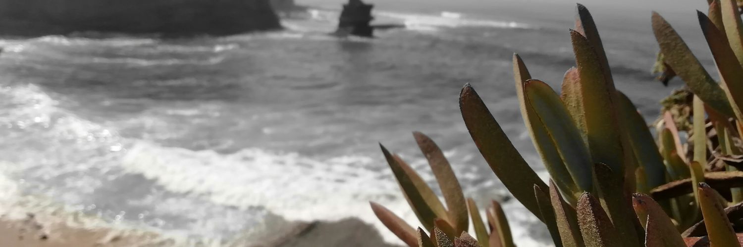 venturuis's profile banner image