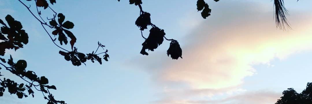 blakbitz's profile banner image