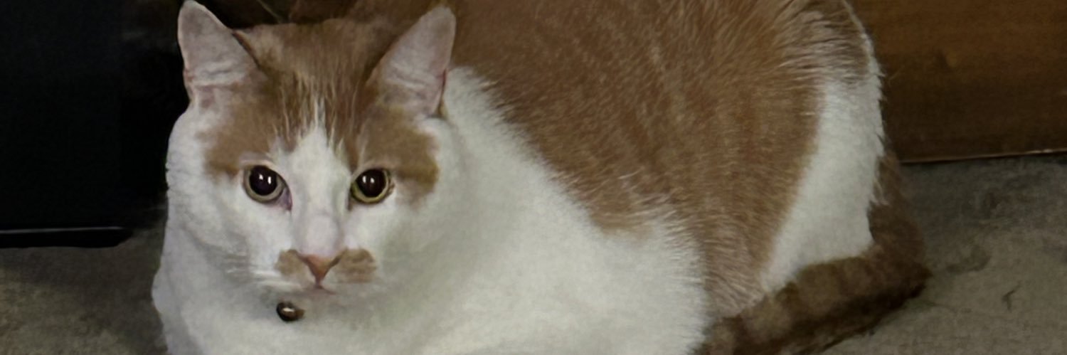 shadowgamertim's profile banner image
