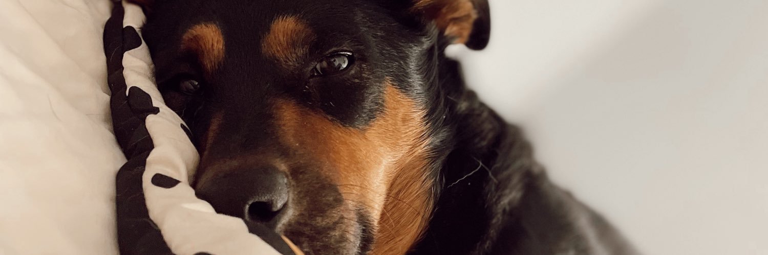 hailibakerrr's profile banner image