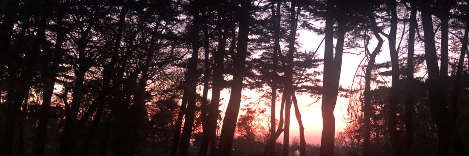 marysammon's profile banner image