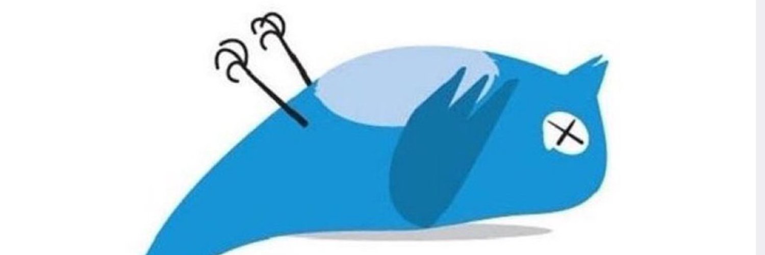 Stone Free's banner