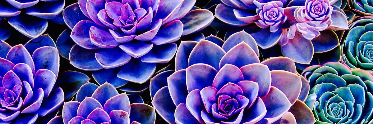 _xrexiex_'s profile banner image