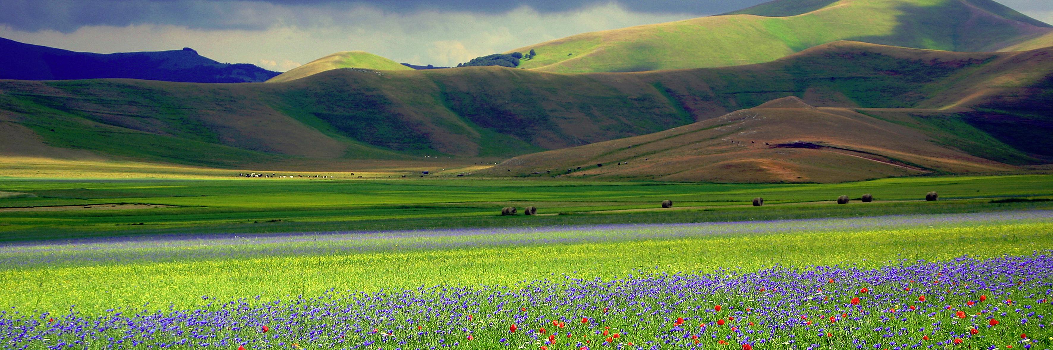 Rete Rurale Leader banner