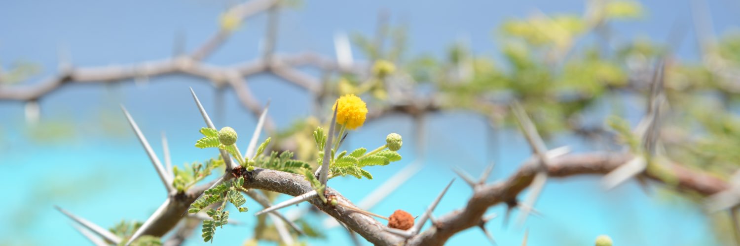 bijonsinterieur's profile banner image
