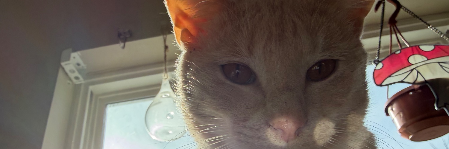 saldesil's profile banner image