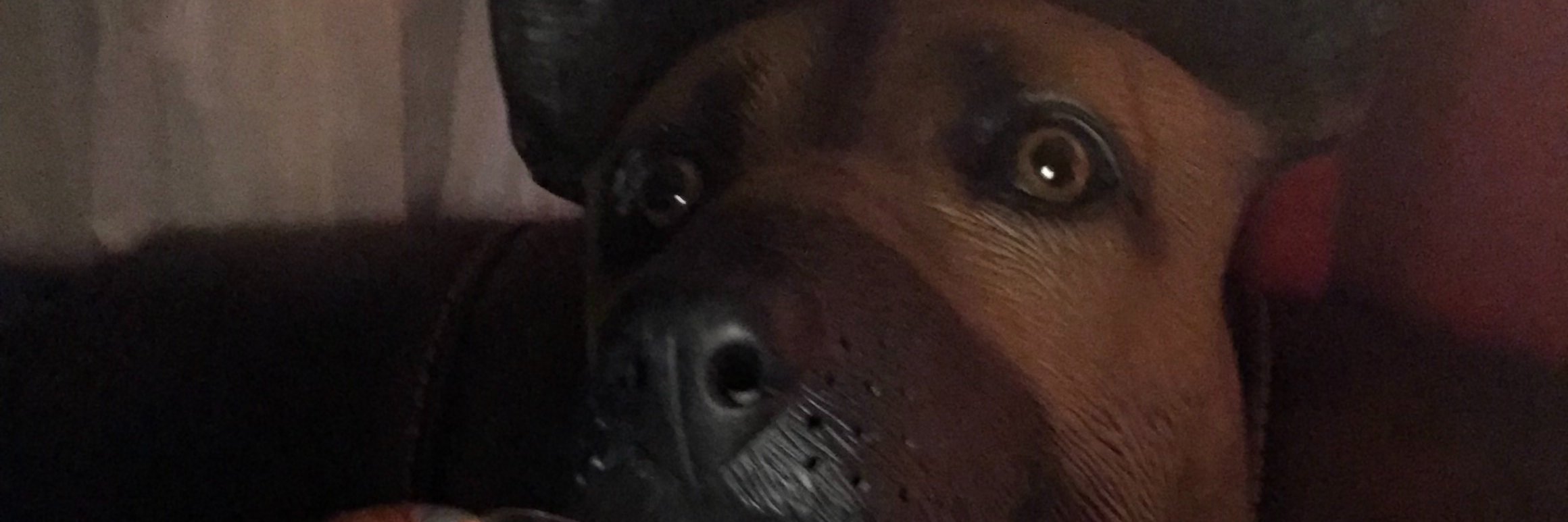 lnabif's profile banner image
