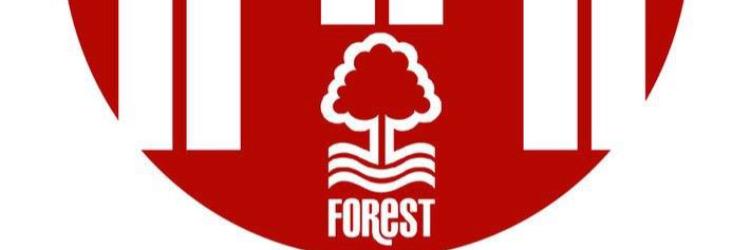 Tricky Tree Travel banner