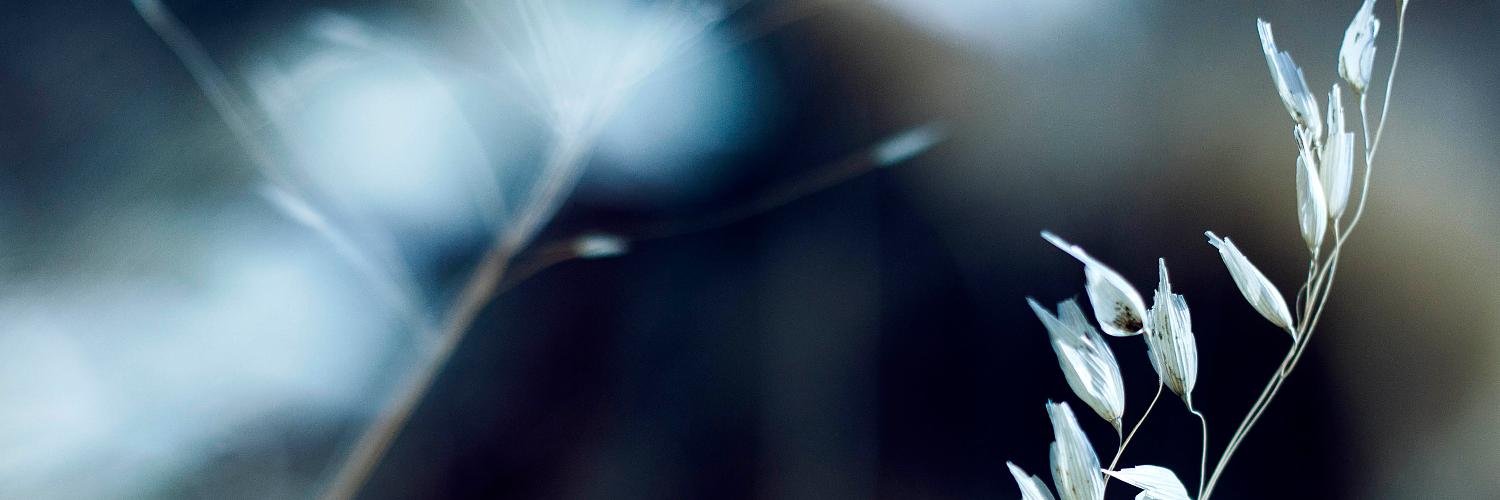 MarinaLuar's profile banner image