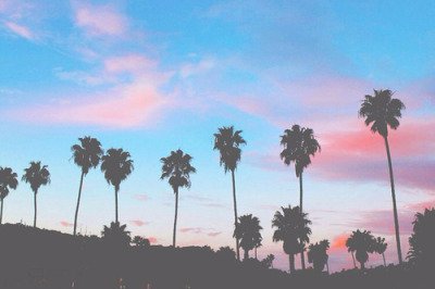 1000_things_'s profile banner image