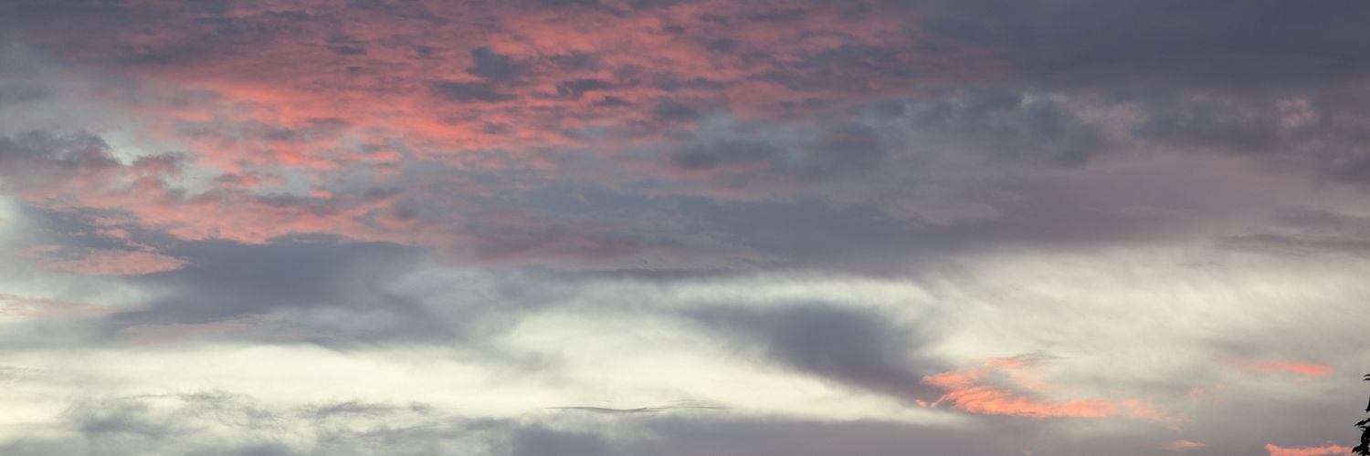 umpynxess's profile banner image