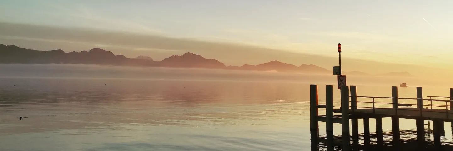 volosbriava's profile banner image