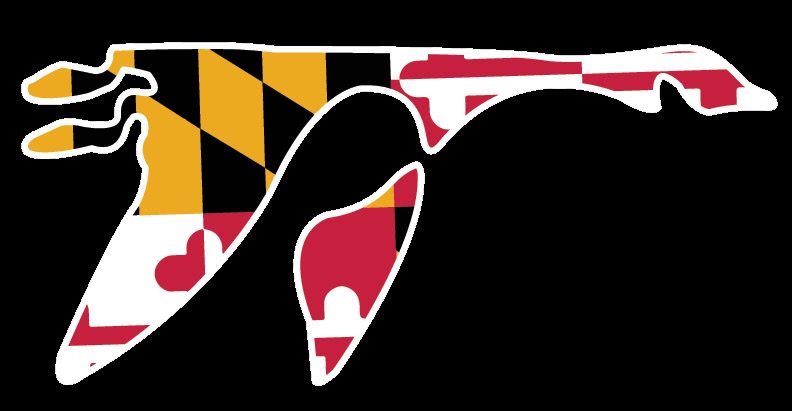 Wash Coll Volleyball banner