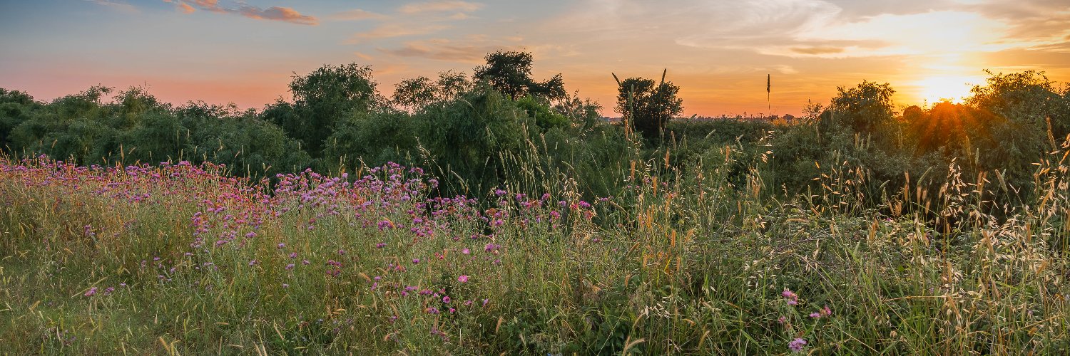 ecocrowd's profile banner image