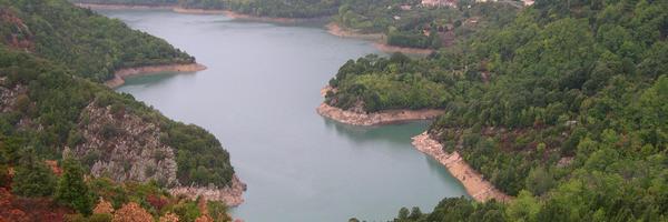 GAMA_UB Profile Banner