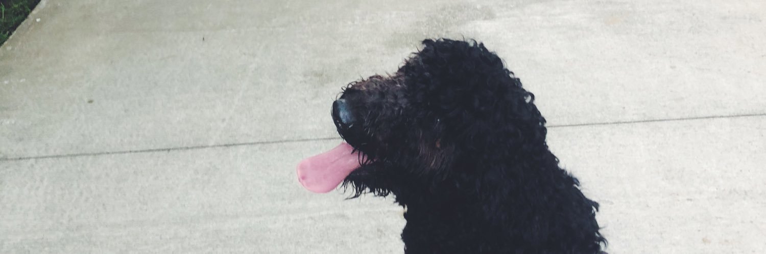 Madiwill1's profile banner image