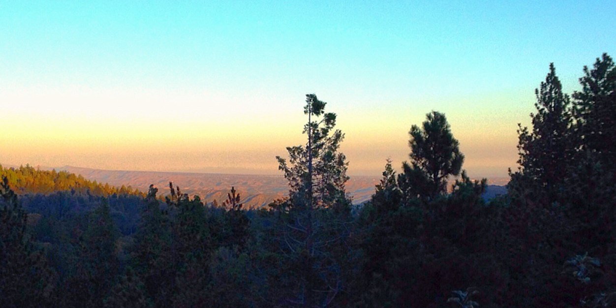 Thousand Pines banner