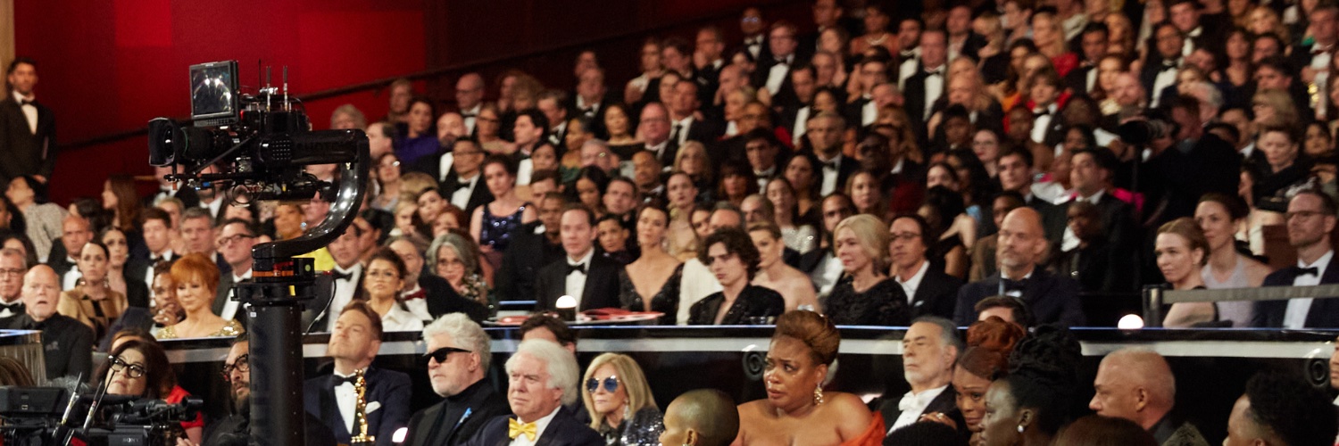 Sasha Stone at Awards Daily banner