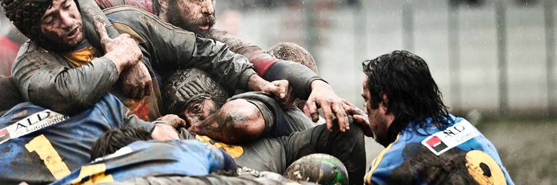 Natalija Žogole banner