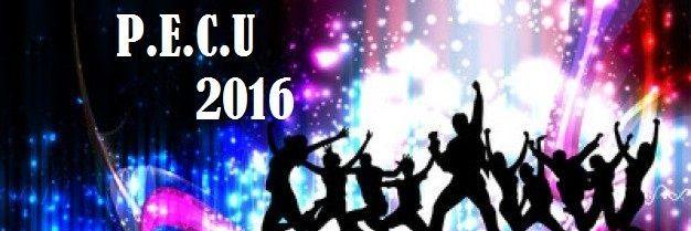 pecu_2016's profile banner image