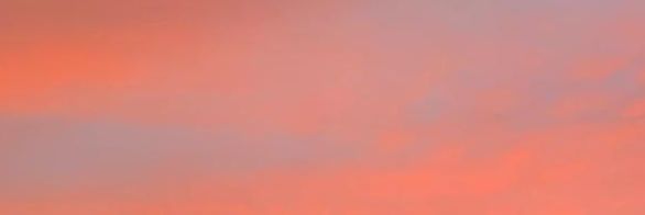 mbl4_'s profile banner image