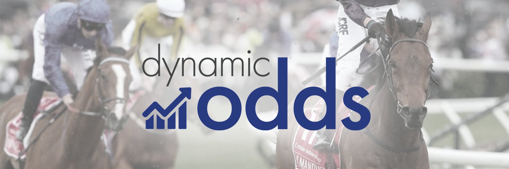 dynamicodds's profile banner image