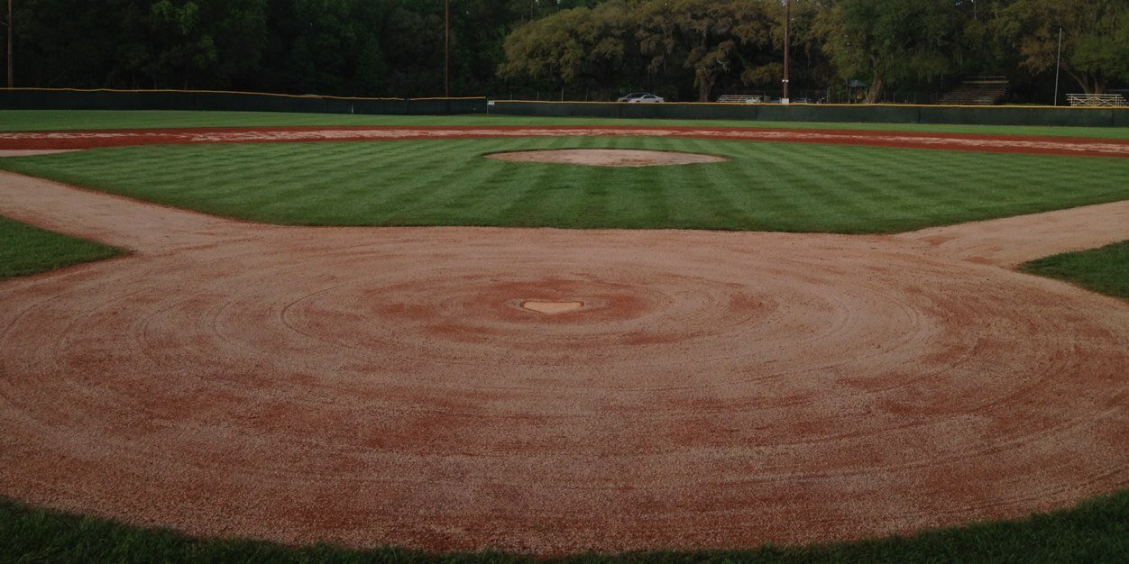 Charleston Baseball Academy banner